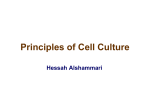 Principles of Cell Culture