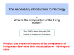The necessary introduction to histology_TK