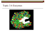 Topic 3.6 Enzymes