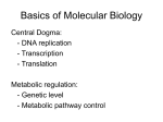 lecture notes-molecular biology-central dogma