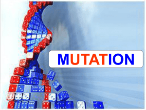 MUTATION LEC