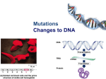 point mutation - Northwest ISD Moodle