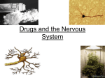 Drugs and the Nervous System