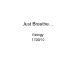 Just Breathe… - Rimac-Science-Web