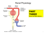 10 Renal Acid-Base Balance