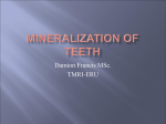 mineralization of teeth