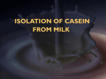 Lab.3 Isolation of casein from milk