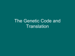The Genetic Code and Translation