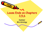 Loose Ends on Chapters 3,5,6