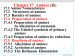 Chapter 17 Amines
