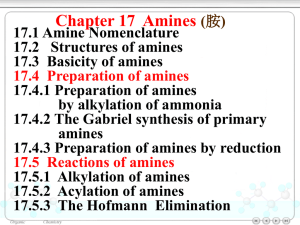 Chapter 17 Amines