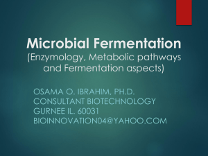 Microbial fermentation (Enzymology,metabolic pathways and