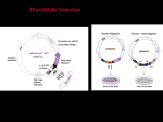 Lecture 15 Biol302 Spring 2011