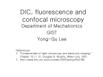 Fluorescence, confocal microscopy