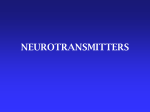 L23-Neurotransmitter
