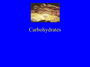 Lecture 3 Carbs