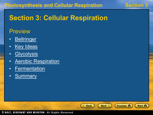 BOOK NOTES ch9_sec3