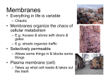 Membranes