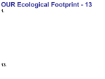 26 Nutrient Cycles 2009