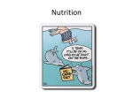 Nutrition Part 1 Powerpoint