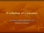 Evolution of Genomes