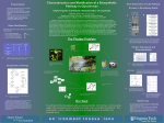 Biosynthetic Pathway