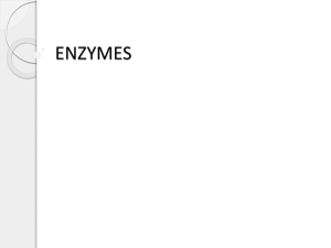 ENZYMES