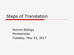 Steps of Translation - Madison Public Schools