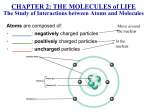 Chapter 2: Chemical Principles