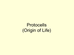 Proto-Cells - TextAddOns.com