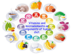 Vitamins and microelements as components of human diet