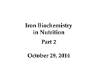 LECTURE NOTES: Iron in nutrition, Part 2