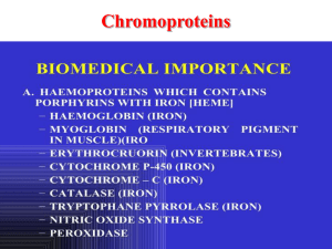 38_Chromoproteins. Pathological and physiological forms of h