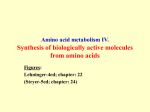 Aminosav metabolizmus IV. Aminosavak bioszintézise