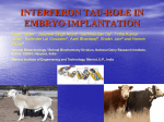 INTERFERON TAU-ROLE IN EMBRYO IMPLANTATION