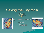 Saving the Day for a Cell.