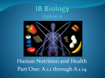 IB Biology Option A