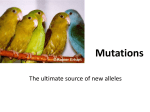 Mutations