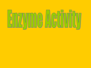 Rate of Enzyme Activity