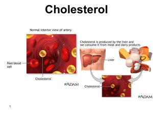 What is Cholesterol?......cont. - Home