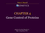 CHAPTER 4 Gene Control of Proteins