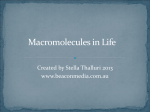 Macromolecules in Life