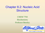 Nucleotides and Nucleic Acids