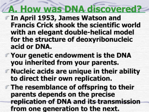 DNA – The Molecule of Life