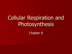 Chapter 8 Powerpoint