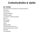 complex carbohydrates