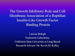 Insulin-like growth factors - California State University, Long Beach