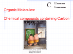 Bio-Molecules