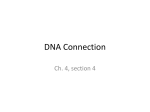 DNA Connection