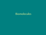 Biomolecule Review ppt.